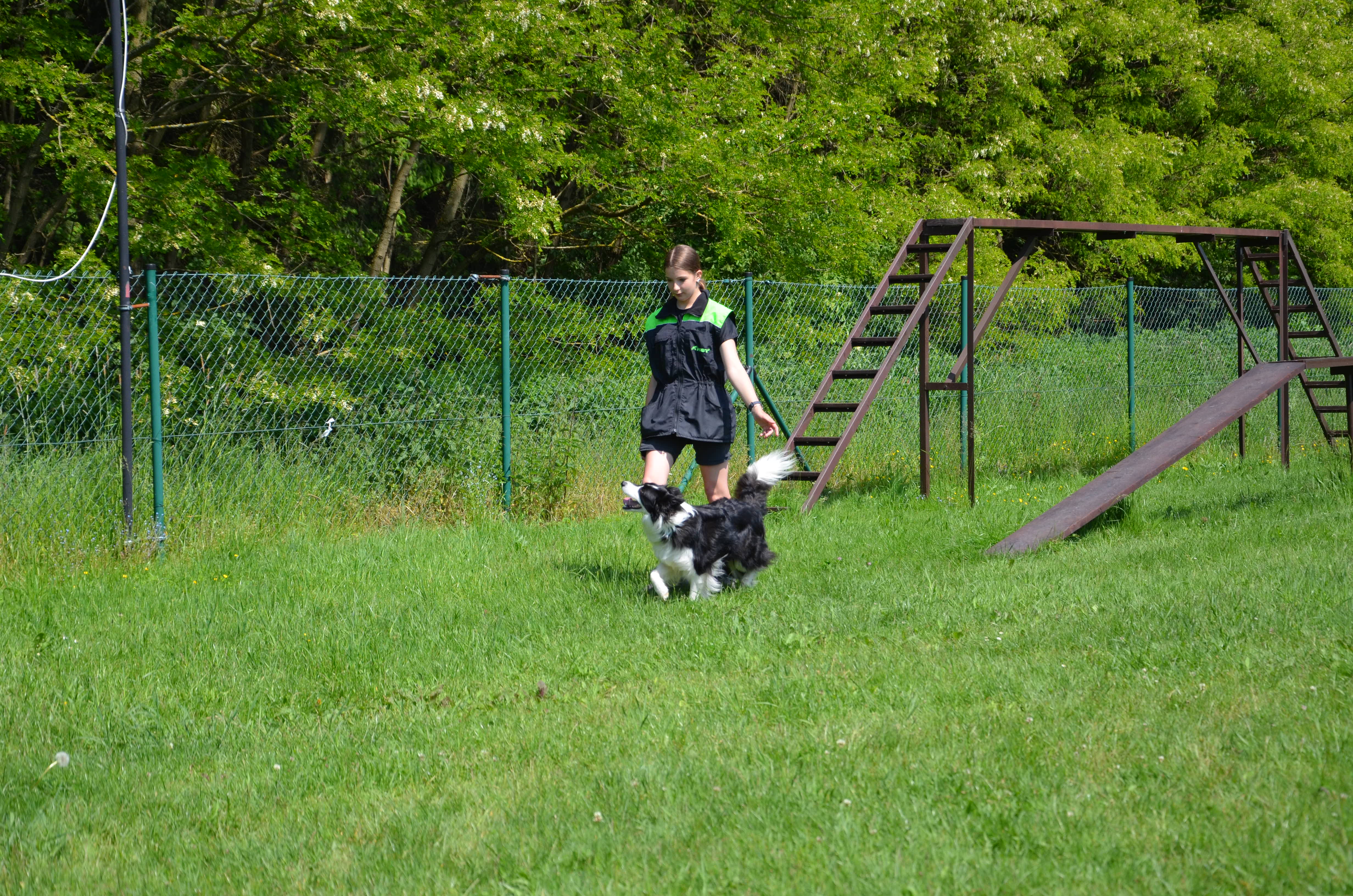 DSC_0078